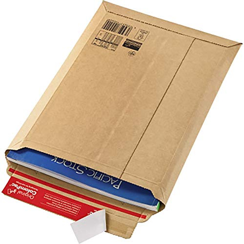 Rigimailer Plus sk Envelope 250 x 340 x 50 MM, Pack of 20