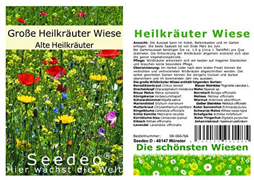 Seedeo Die große Heil-Wildkräuter Wiese