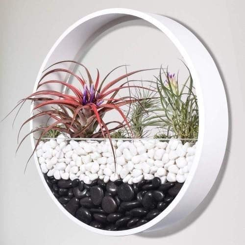 Ecosides Murale Planteur,Mural Pots de Fleurs à Suspendre Métal Ronde Verre Mural Jardinière Mural Vase,pour Artificielles Fleur,Cactus,Succulentes,Décor pour Salon Salle à Manger,Blanc,20 cm