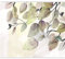 murando - Vlies Fototapete Vogel am Ast 350x256cm - Foto Tapete Schlafzimmer Wohnzimmer Moderne Vliestapete XXL Wandtapete Motivtapeten 3d Effekt Wand Dekoration - Baum Ast Blätter Natur b-A-0908-a-c