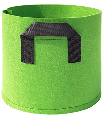 tinysiry Gallon Plant Grow Bag with Handles, Non-woven Fabric Plants Bags Planting Container Fabric Pots for Flowers Vegetables Tomatoes Green 5 Gallon