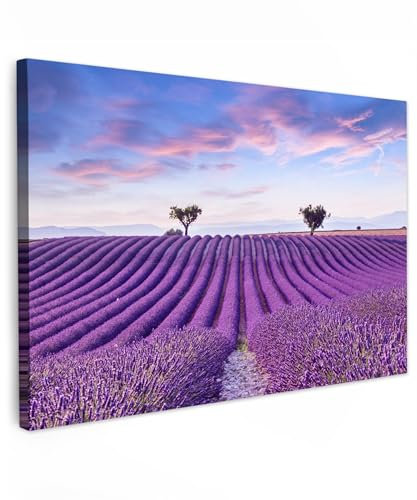 MuchoWow© Wandbilder Groß 120x80 cm XXL Schlafzimmer Home Deko Wohnung Bild Wohnzimmer Fotoleinwand Wand Bilder Leinwand Wall Decor Lavendel - Natur - Lila - Bäume - Blumen - Landschaftsbilder