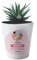 CADEAUX.COM - Pot de Fleurs Personnalisable avec Prénom - Cadeau Merci - Idée Cadeau Remerciement - Idée Cadeau Nounou - Pot de Fleurs en Céramique - Cadeau Femme