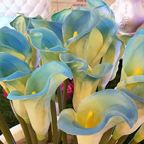 Calla bulbe,Crea mazzi di fiori,issimi Colori/Lampadine importate/Hardy fragranza floreale-2,8Bulbis