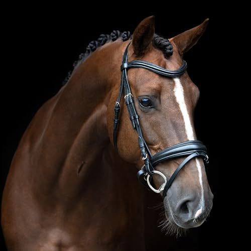 Imperial Riding Zaumzeug IRH kombiniert Sleek, englisches Reithalfter mit ergonomischem Genickstück und abnehmbarem Sperrriemen, Schwarz, Pony