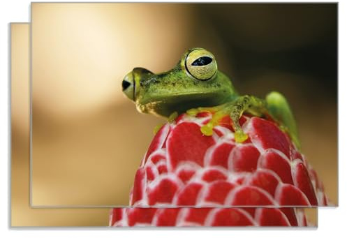 Wallario 2er Set Frühstücksbrettchen aus Glas, Glasunterlage, Glasbrettchen Frosch sitzt auf Einer Knospe, Größe 30 x 20 cm, Sicherheitsglas