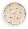 Polnische Keramik Dessertteller, 17,8 cm Country Meadow