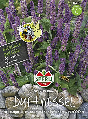 Sperli Duftnessel SPERLI's Blue