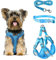 FINEASY Hundegeschirr mit Leine, Reflektierend, Hundegeschirr Kleine Hunde, Sicherheitsgeschirr Hund Ausbruchsicher, Brustgeschirr Hund, Geschirr für Haustiere, Katzen, Klein, Welpen (Blau, M)