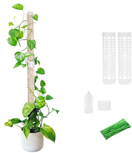 YANGWEN 2pcs Tuteur Plante Grimpante en Pot - Poteau de Mousse Extensible pour Monstera Deliciosa - Support pour Plantes Grimpantes Intérieur/Extérieur avec Piquets de Terre