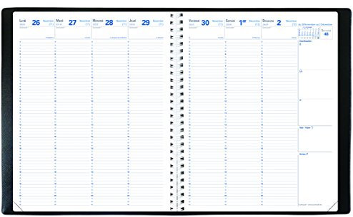 Quo Vadis Eurequart Impala 026036q Kalender/Terminplaner für das Jahr 2023 24 x 30 cm Schwarz