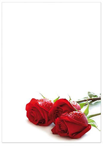DIN A4 Design-Papier-205 mit 100 Blatt, Rote Rosen, Premium 90g Motivpapier, einseitig bedruckt