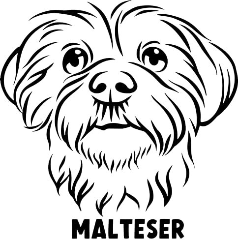 Autoaufkleber/Sticker/für Innen und Außen 28 cm schwarz Hund Malteser 01