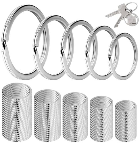 EIHI 100 Pièces Anneau Porte-Clés Anneaux 40mm 30mm 28mm 25mm 20mm Porte Clef Plats Ronds pour Clé de Voiture Maison Bureau Arts Artisanat 5 Tailles
