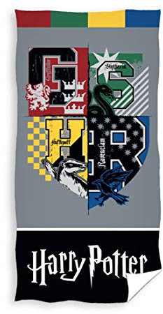WARNER BROS Toalla de Tiempo Libre y Sportwear Marca Unisex Infantil