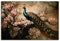 ARTLAND Wanddeko Leinwand Bilder Wandbild 120x80 cm Asiatische Deko Pfau Baum Blumen Kirschblüten Vintage U4WA