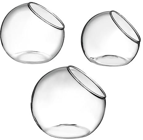 ANDRESLAD 3stücke Terrarium Flasche Ökologische Pflanzenbehälter Für Sukkulenten -Landschaft Dekoration Für Zuhause Und Hochzeiten