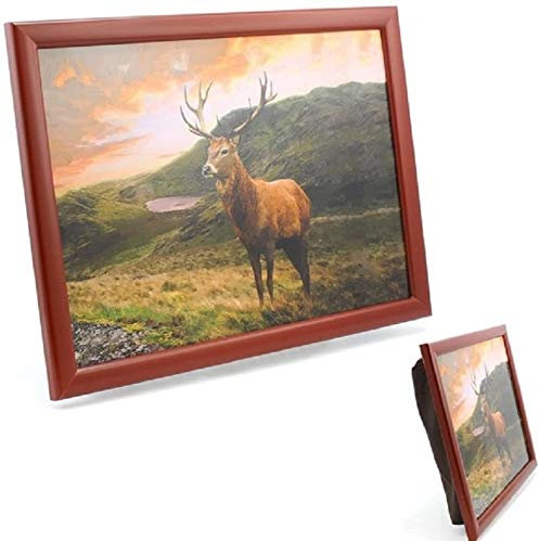 Cushioned Laptrays Lap Tray TV Dinner Bean Bag Padded Cushion Gift (A Stag Lap Tray with Lake)