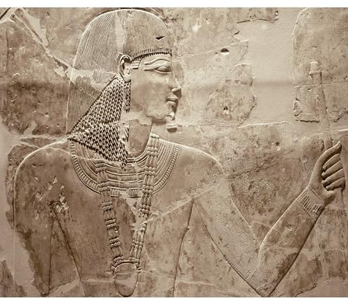 decomonkey - Papier Peint Panoramique Adhésif Abstrait 441x315 cm - Stickers Muraux Chambre Déco XXL Autocollant Panoramique - Beige marron blanc - Afrique egypte pharaon sculpture en pierre