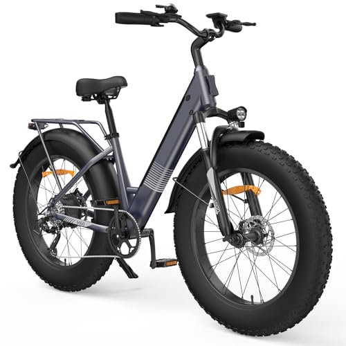 Finbike E-Bike 26 Zoll Fat Tire Elektrofahrrad, Abnehmbar 48V13Ah Akku mit 250W Motor, 7-Gänge 25 km/h Fatbike Ebike, 80-100km Reichweite, Electric Bike für Erwachsene, E Fahrrad mit Breitenreifen