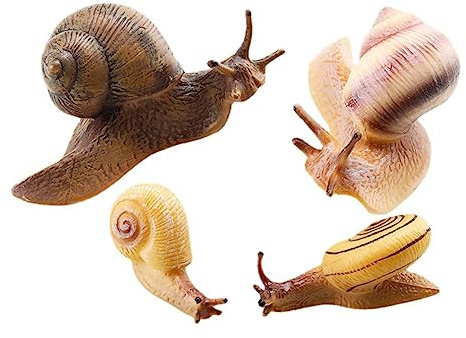 Schnecken Figur aus PVC, Realistisch, 8,8x5x3,9cm | Junge Mädchen zum Lernen, 4 Stück Tiermodell, Deko für Zuhause und Tiermotto Party