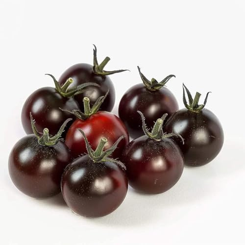 35 Samen Tomaten, Kirsche, Black Cherry SemiSauvage Permaculture