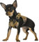 rabbitgoo Hundegeschirr Kleine Hunde, Anti Zug Geschirr Hund Verstellbar mit Griffe Verbreitert, Robust und Verschleißfest, Taktisches Hundegeschirr mit Metallschnallen zum Wandern(S, Braun)