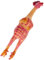 Trixie 35495 Henne, Original-Tierstimme, Latex, 48 cm