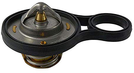 FAE 5303291 Thermostate