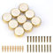 EVERGD 27mm Pure Copper Handle Shell Brass Gold Wardrobe Kitchen Cabinet Door Knobs Drawer Cupboard Hardware Pull Handle Clothes Coat Hook Modern Simple (9, Pearl Rainbow)