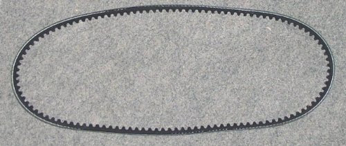 S.B.J - Sportland Keilriemen 10x925 / 9,5x925