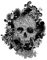 Apalis Fenstersticker Fensterfolie Skull Fensterbilder HxB: 39 x 30cm