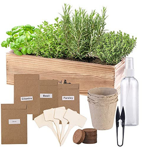 Royal Gardineer Pflanzensamen: Geschenkbox Anzuchtset italienische Kräuter mit Samen, Schere, Sprüher (Kräuter-Anzuchtset Fensterbank, italienische Pflanzen, Mini Gewächshaus)