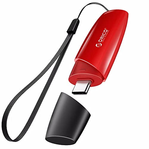 ORICO USB Stick Type C 64 GB, UFSD Flash Drive 405 MB/s, Memory Stick mit Schlüsselbund, Externe Datenspeicherung Flash-Laufwerk, Kompatibel mit Android Handy, PC, Computer/Laptop