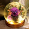 FAYODO Ewige Rose im Glas mit Licht,3 Infinity Rosen Geschenke für Frauen, Led Glasrose Geschenk für Mama,Ehefrau,Oma,Freundin,Tochter zu Muttertag Valentinstag Geburtstag Gifts for Mom(Lila)