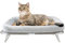 Sunhoo Erhöhtes Katzenbett, faltbar, erhöhte Hängematte für kleine Hunde, freistehend, für drinnen und draußen, mit Metallrahmen, waschbarer Bezug, 64 x 40 x 19 cm