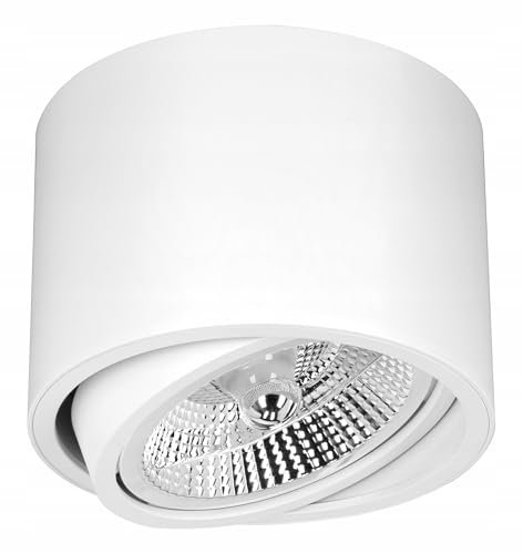 LED Deckenspot Aufbaustrahler, weiße Farbe, Aufbauspot schwenkbar Deckenstrahler 230V, Deckenleuchte mit AR111 Fassung Deckenlampe Aufputz Spots aus Aluminium, Aufbauleuchte Rund (weiße Farbe)