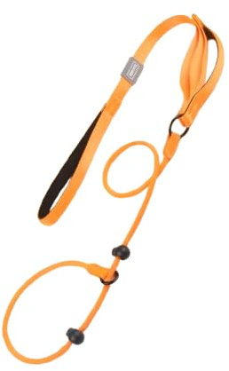 Arlinens Lead for Dogs | 1.6m – No Pull Training Leash with Double Handle, Easy to Slip On, No Collar or Harness Needed,Heavy Duty Nylon Rope Lead for Small Medium Large Dogs (Orange)