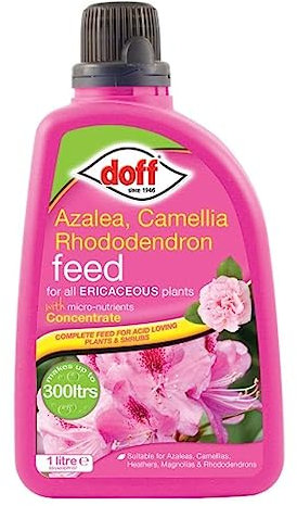 Liquid Ericaceous Feed Concentrate 1 Ltr Bulk Deal of 6