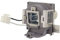 Supermait RLC-100 Ersatz-Projektorlampe mit Gehäuse, 200W Weißglühend, 3200 Lumen, 2000 Stunden, kompatibel mit Viewsonic PJD7828HDL / PJD7720HD / PJD7831HDL, 1 Stück