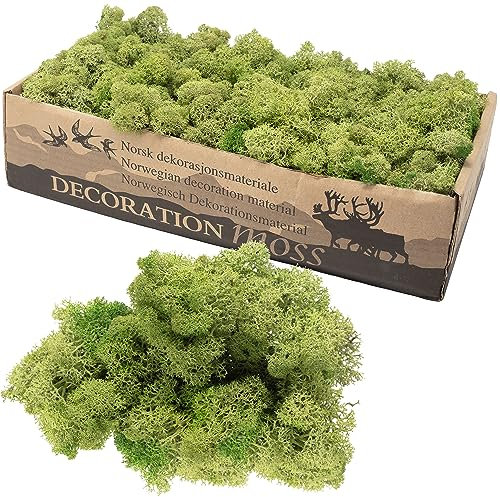 Flowerbox Karton Islandmoos Mittelgrün 500g