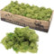 Flowerbox Karton Islandmoos Mittelgrün 500g