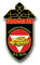 Aufkleber/Sticker PzGrenB 35 Österreich Panzergrenadierbataillon 4x7cm A1594
