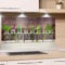 GRAZDesign Küchenrückwand Spritzschutz Glas für Küche, Herd Bild Motiv Kräuter im Glas Küchenspiegel Glasrückwand Herdblende 4mm ESG Glas, 60x40cm
