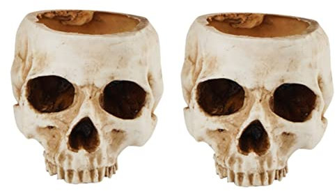 Kisangel 2pièces Pot De Fleurs Résine Forme De Crâne Décoration Créative pour Halloween Et Intérieur pour Plantes Succulentes Et Décors Thématiques