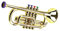JOINPAYA Goldene Trompete Plastik Imitation Trompete Für Musikinstrument Für Kleine Musiker Ideal Für Kreative Spielstunden Geschenkidee Für Jungen Und ädchen
