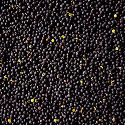10 kg di semi di colza sciolti per cuscini termici, cuscino freddo, imbottitura per cereali, materiale di riempimento, massaggio alle mani, terapia ergica, fisioterapia