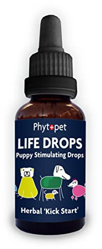 Phytopet Life Drops, All Natural Stimulant, Energy Boost, Immune Support, Metabolism Booster & Whelping Drops for Breeders of Puppies, Kittens & Small Mammals, 10ml - 100% Herbal Phytopet Pet Supplies