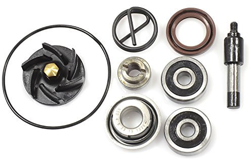 Kit di riparazione pompa d'acqua Beverly 250 (06-)