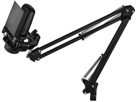 Breeshy Microfono Professionale ZX85 per Registrazioni Vocali in Studio, Karaoke, Trasmissioni, ASMR e Gaming, con Supporto A Sbalzo B.